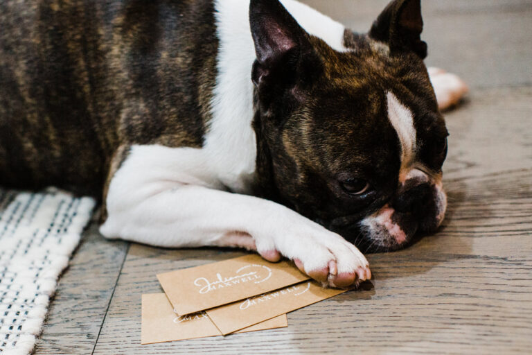 Beyond the Headshot: Why Vancouver Entrepreneurs Need a Full Personal Brand Story